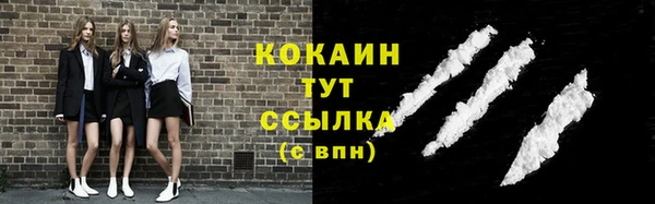 стаф Ладушкин