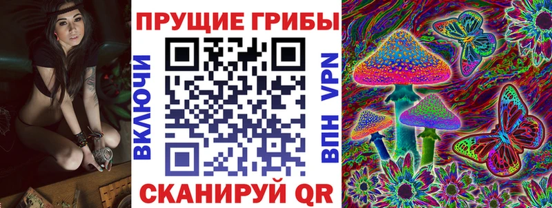 Галлюциногенные грибы Psilocybe  Саров 